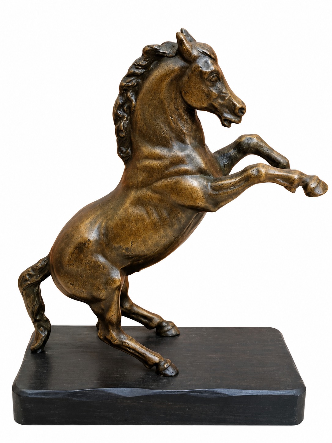Cavallo, right view