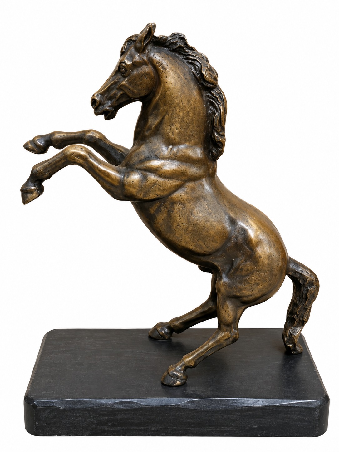 Cavallo, left view