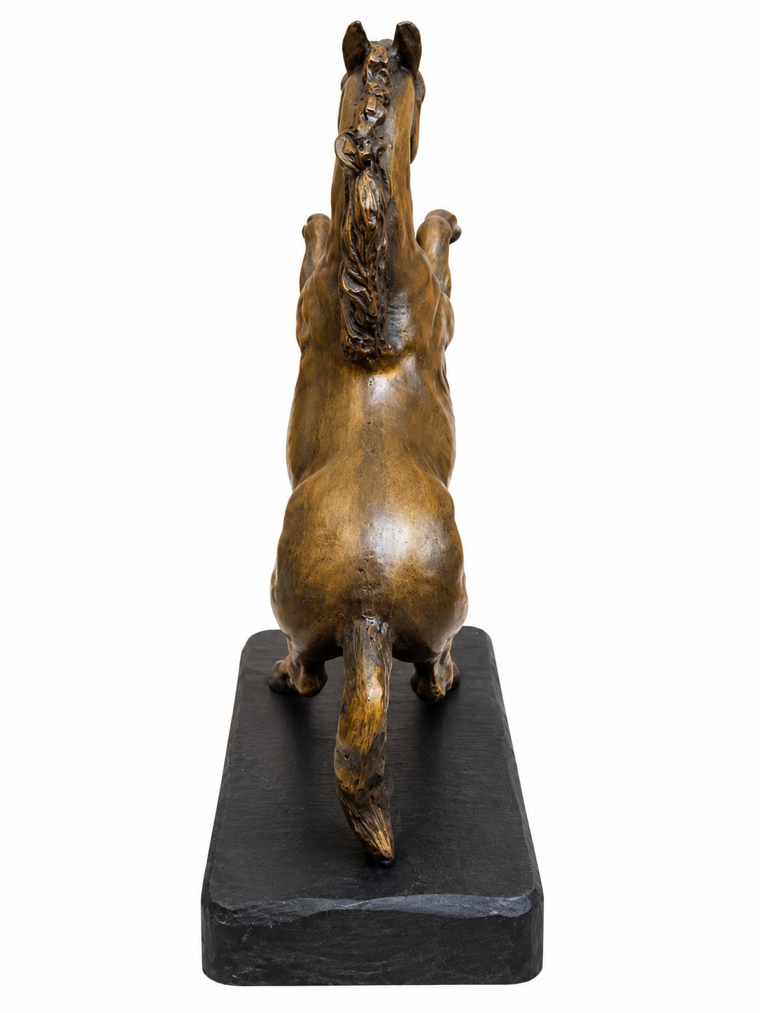 Cavallo, back view